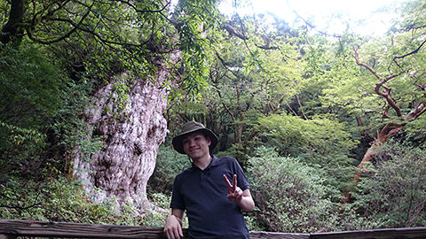 屋久島に旅行した際に撮った縄文杉