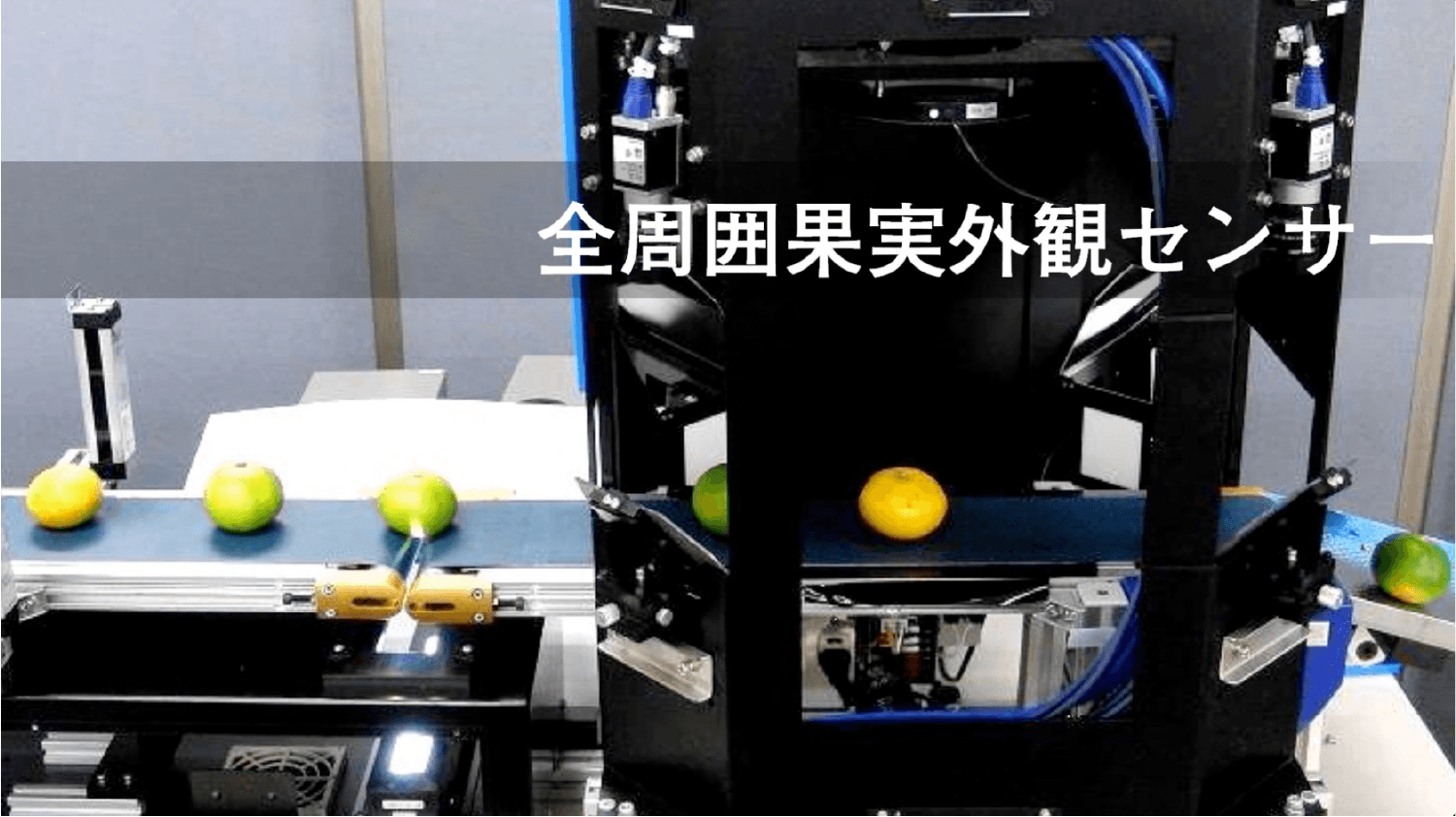 全周囲果実外観センサー【パシフィックシステム株式会社様】