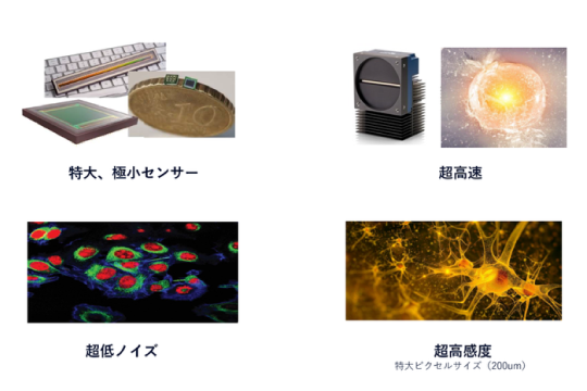 トップセンサーテクノロジーを誇る「Teledyne Imaging」の <br>特長をセミナーに先駆けて紹介！