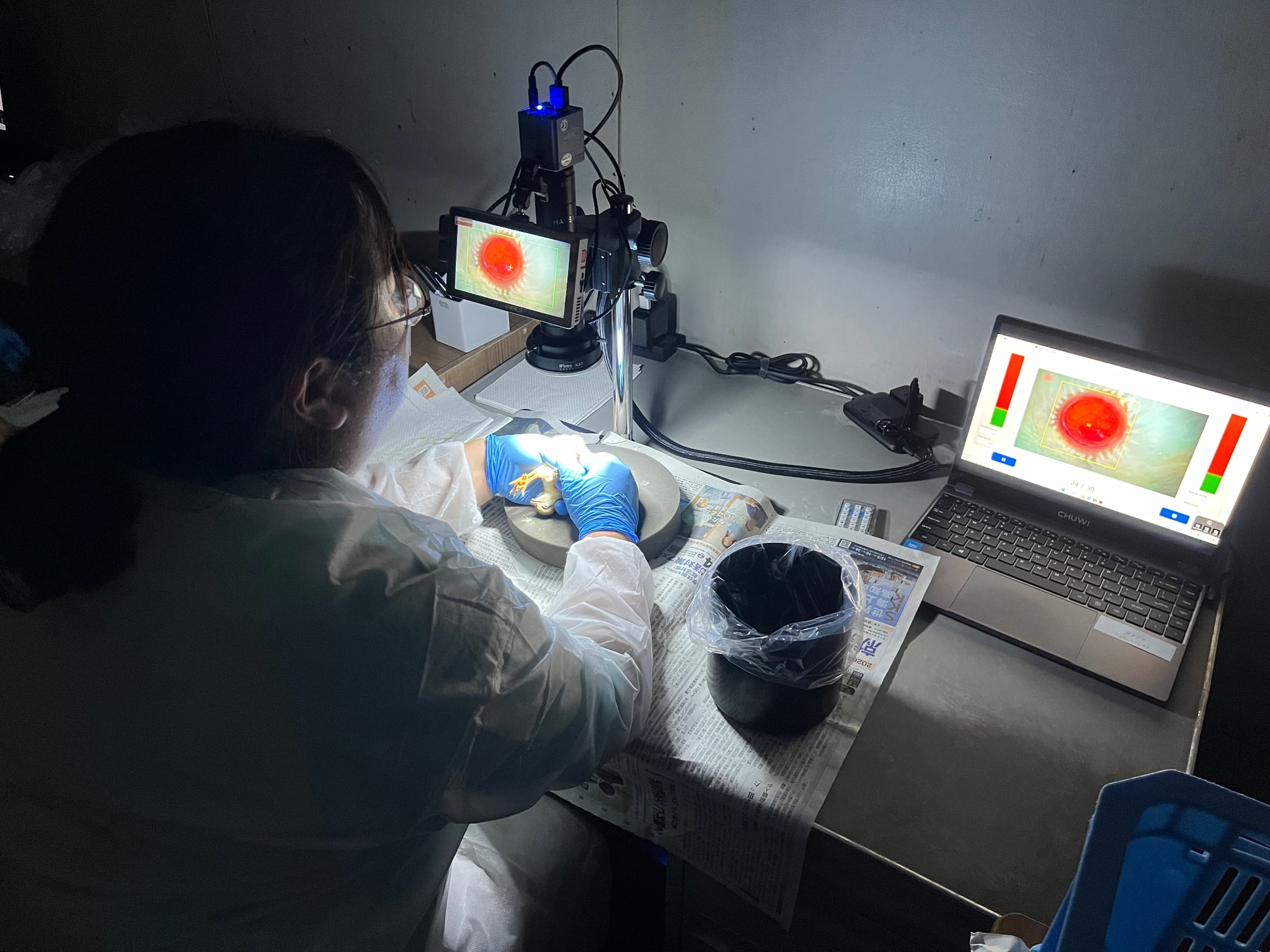 熟練鑑別師の技をAIで再現　HALCONディープラーニングで実現する地鶏の雌雄鑑別 【日本ルースト様】